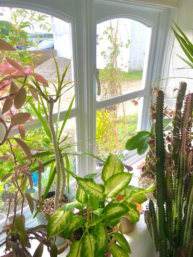 Idyllic Cornish Cottage, Superking bed, private garden dogs welcome Truro Buitenkant foto